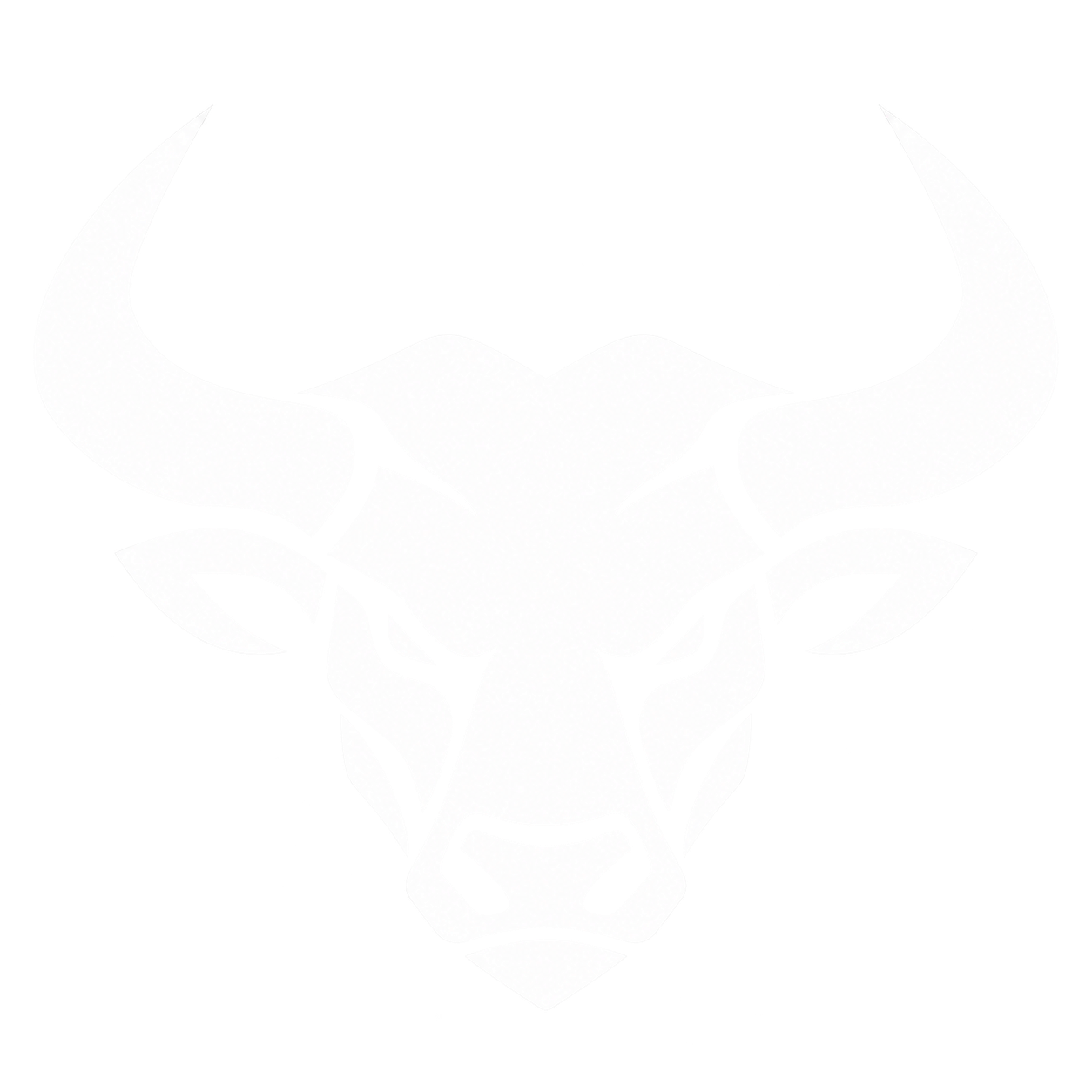 Logo Bull Technology